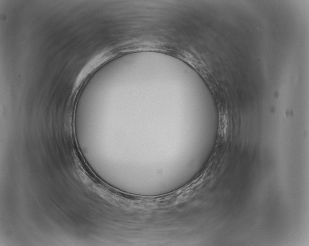 X0000081310004200701251754