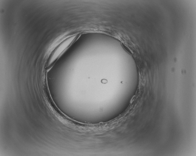 X0000081310005200701251754