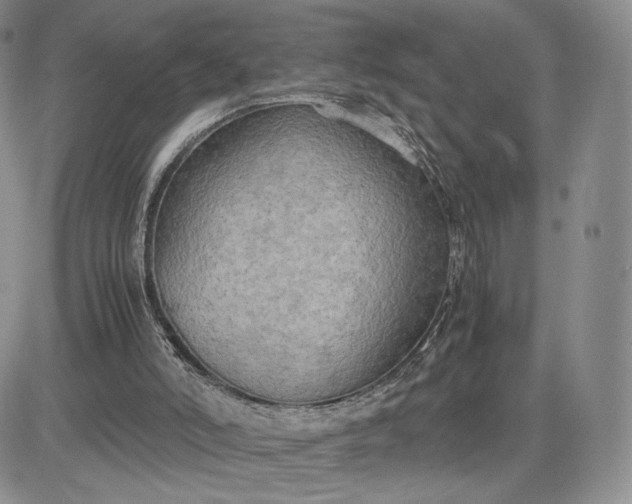 X0000081310006200701251754