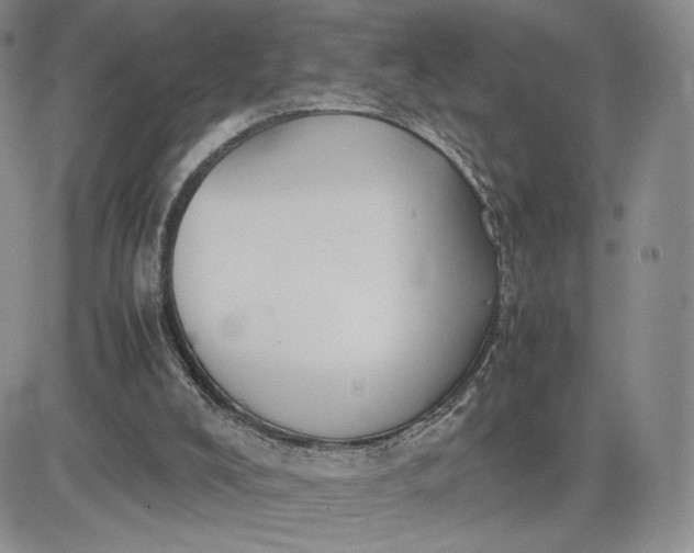 X0000081310008200701251754