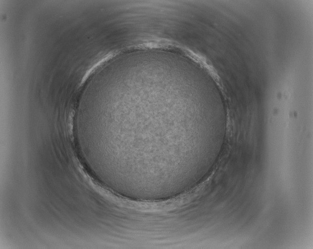 X0000081310010200701251754