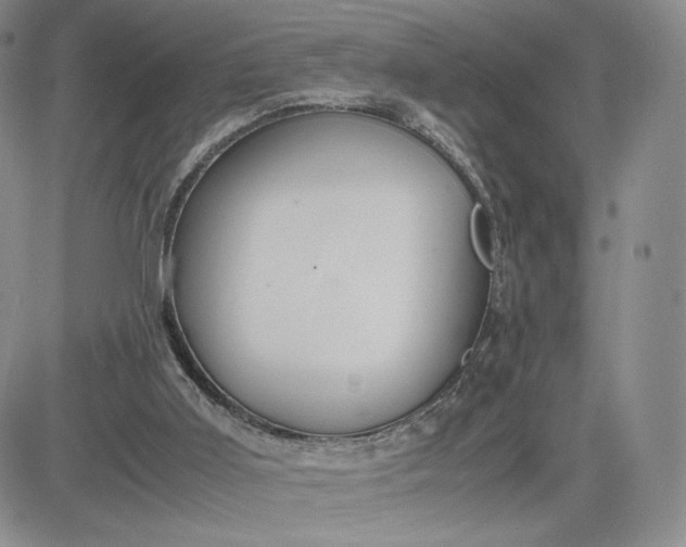 X0000081310011200701251754