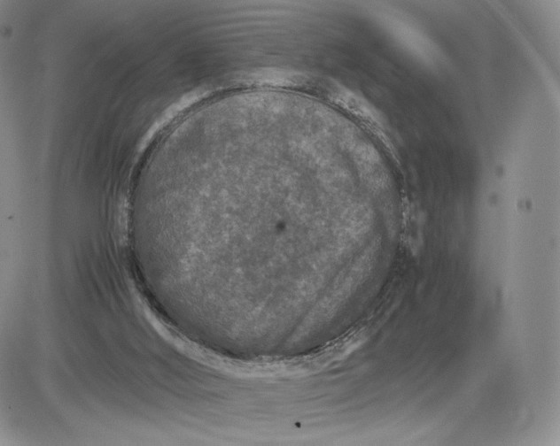 X0000081310012200701251754