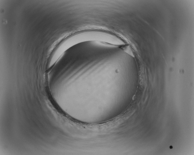 X0000081310015200701251754