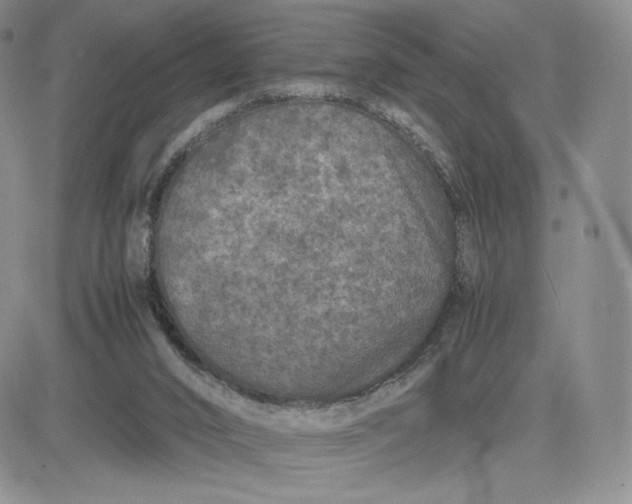 X0000081310016200701251754