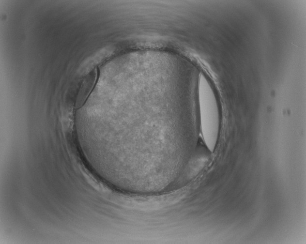 X0000081310017200701251754