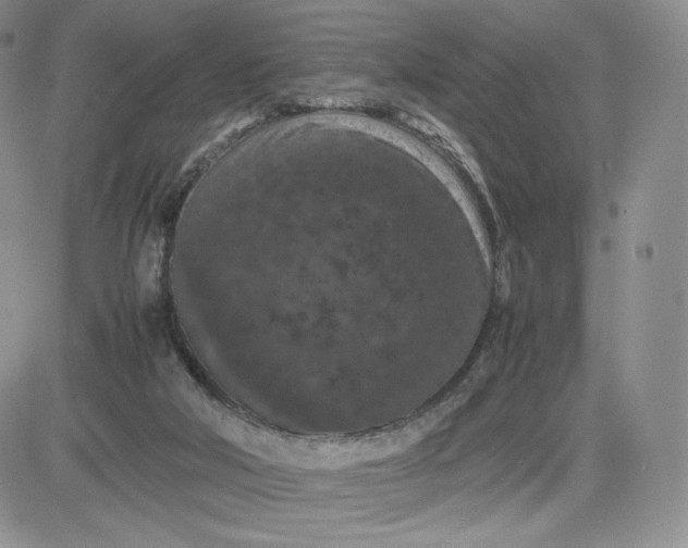 X0000081310018200701251754