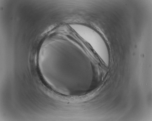 X0000081310019200701251754