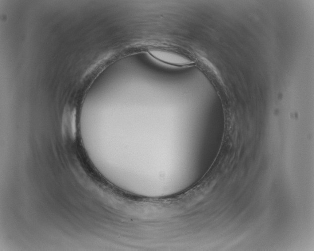 X0000081310020200701251754