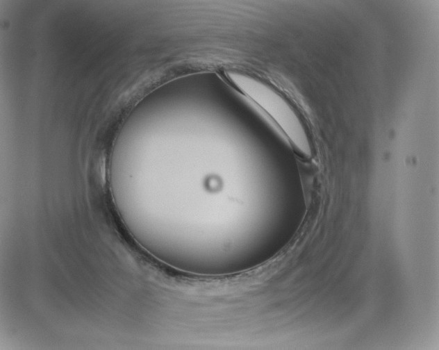 X0000081310021200701251754