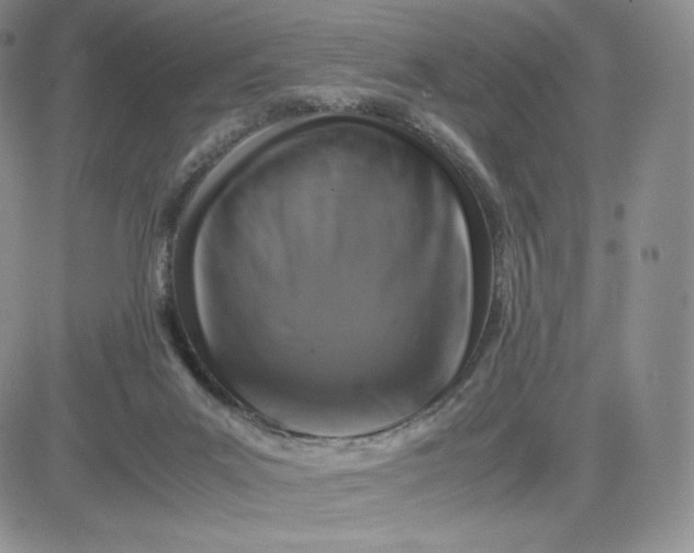 X0000081310023200701251754