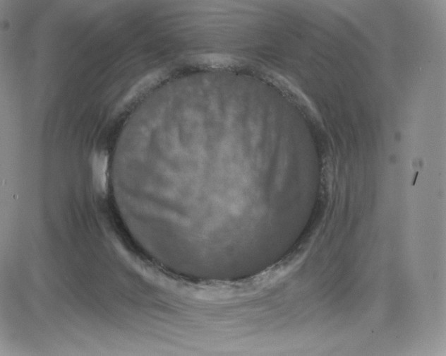 X0000081310024200701251754