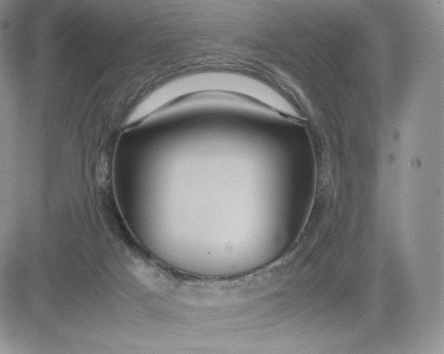 X0000081310025200701251754