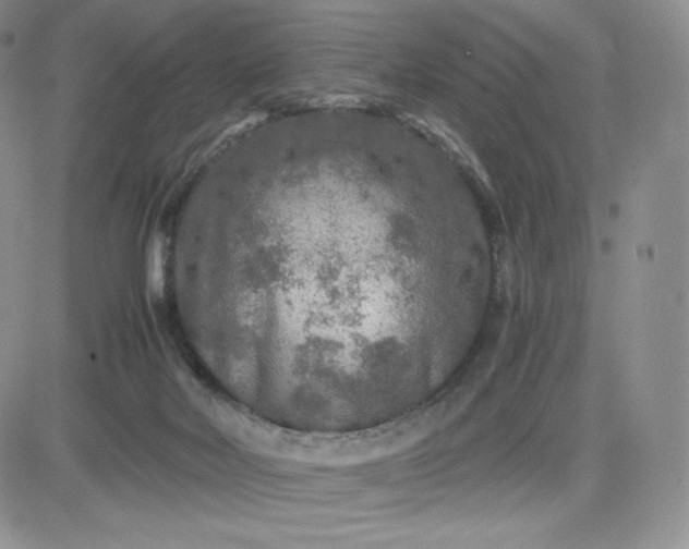 X0000081310026200701251754