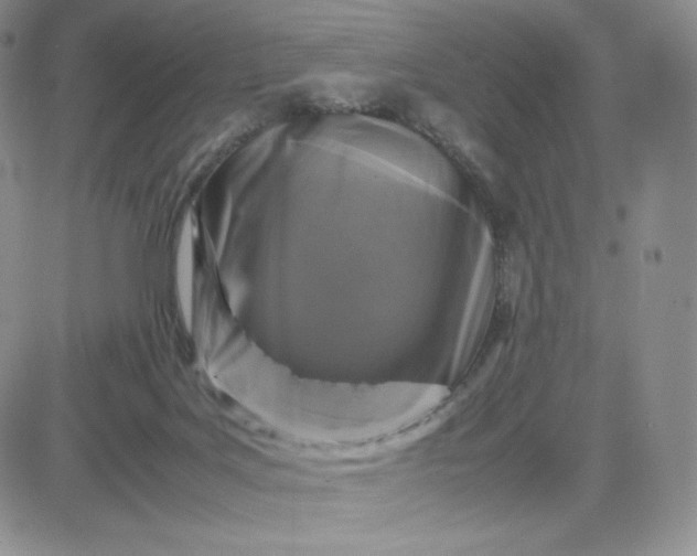 X0000081310027200701251754