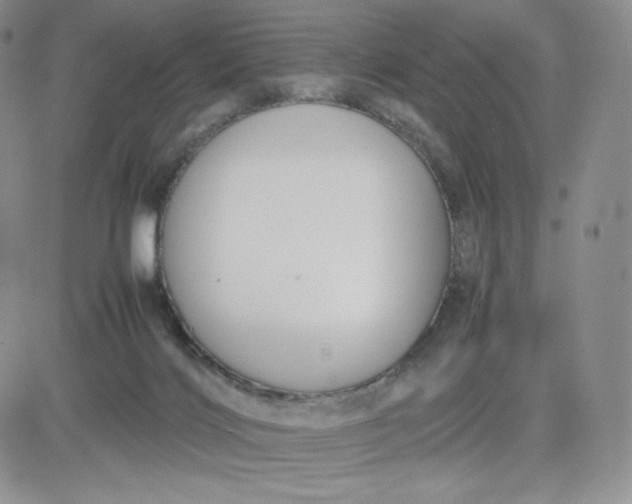 X0000081310028200701251754