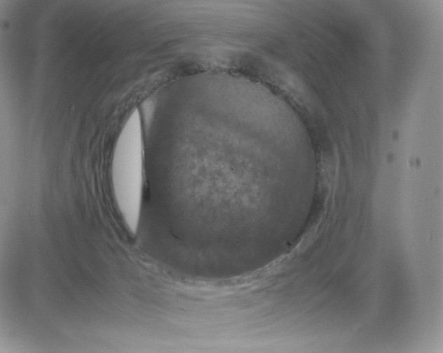 X0000081310029200701251754