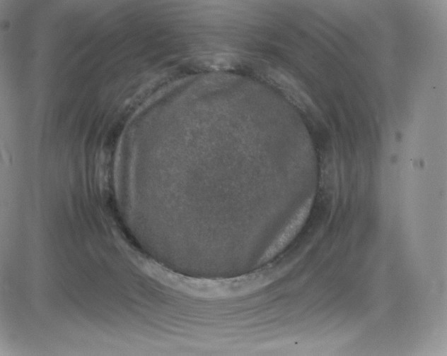 X0000081310030200701251754