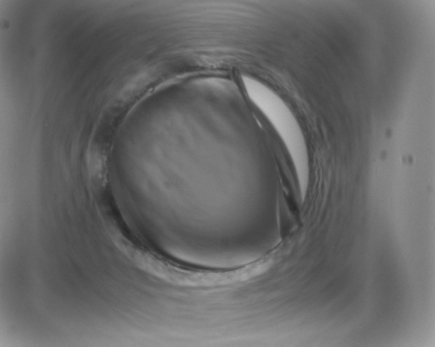 X0000081310031200701251754