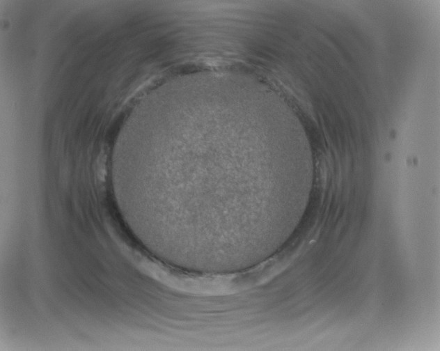 X0000081310032200701251754