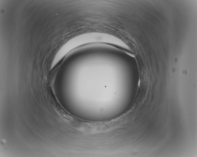 X0000081310033200701251754