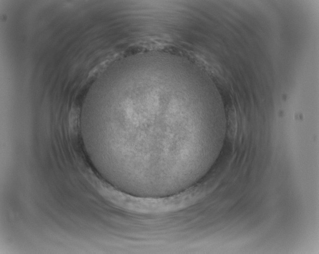 X0000081310034200701251754