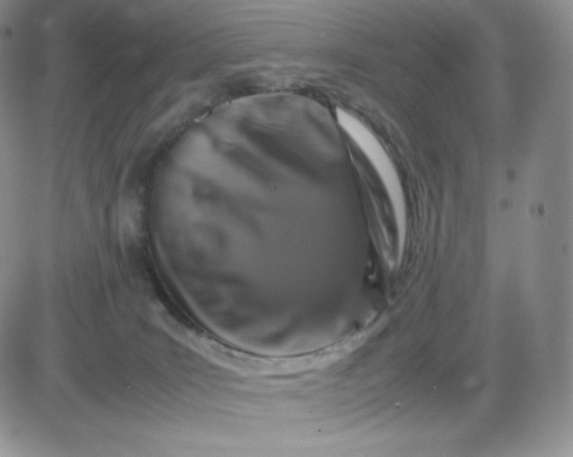 X0000081310035200701251754