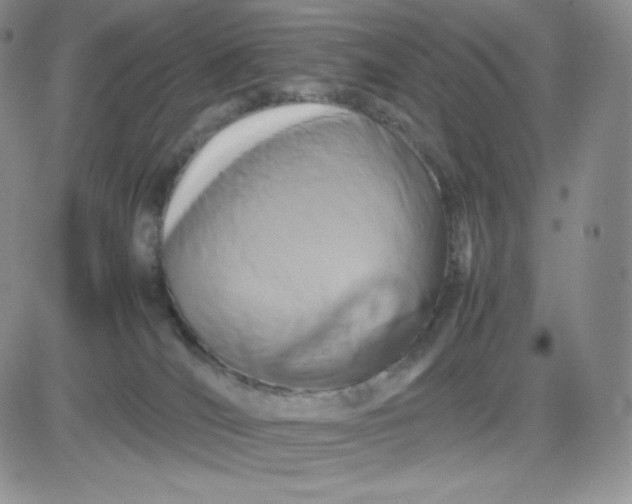 X0000081310036200701251754