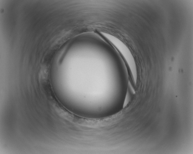 X0000081310037200701251754