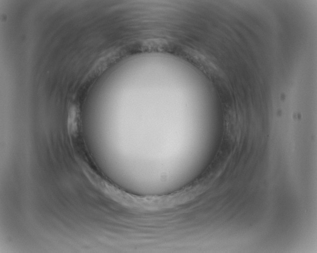 X0000081310038200701251754