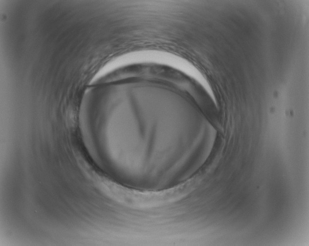 X0000081310039200701251754