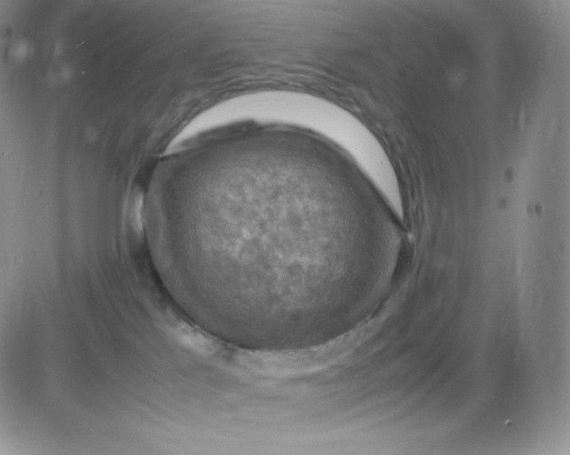 X0000081310041200701251754