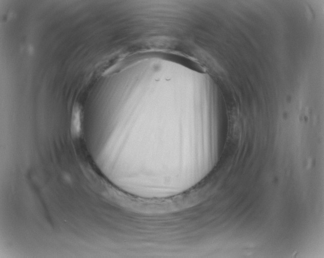 X0000081310042200701251754