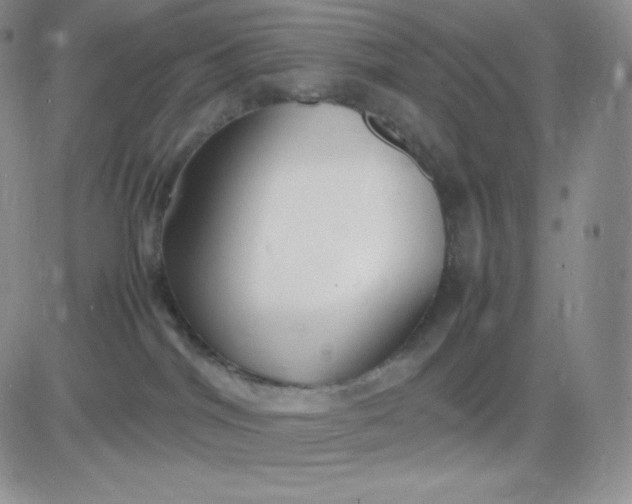 X0000081310044200701251754