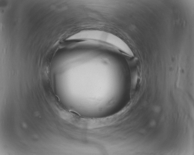 X0000081310045200701251754