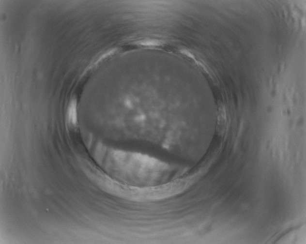 X0000081310046200701251754