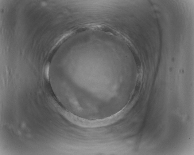 X0000081310047200701251754