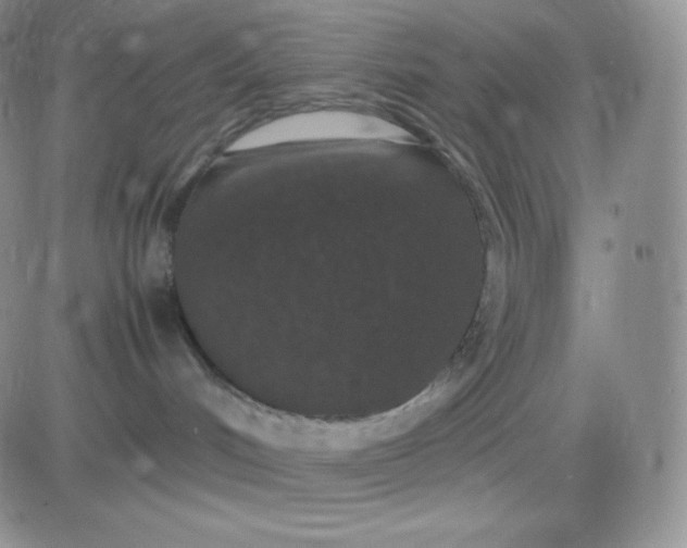 X0000081310048200701251754