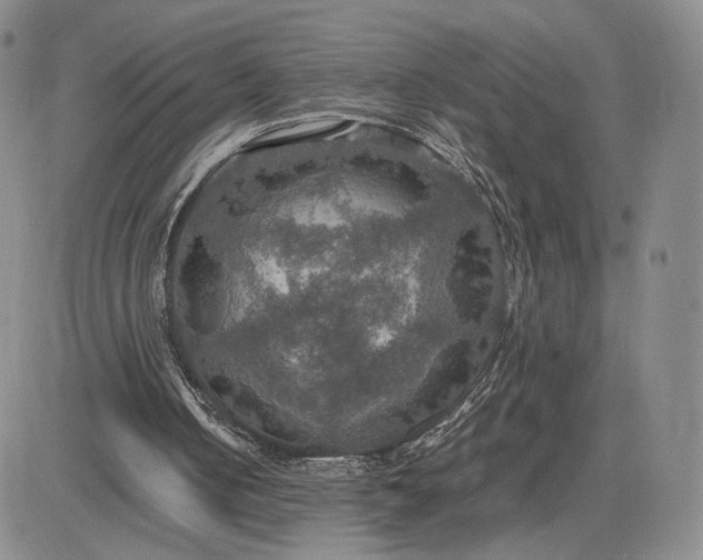 X0000081310050200701251753