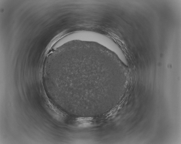 X0000081310051200701251753