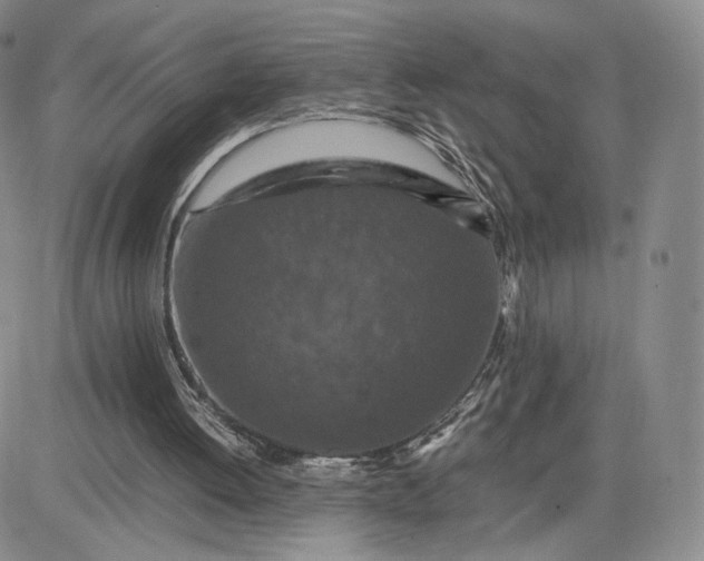 X0000081310052200701251753