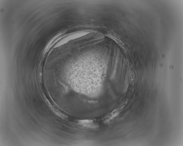 X0000081310053200701251753