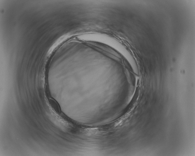 X0000081310054200701251753