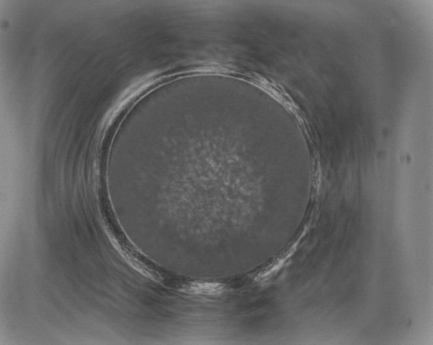 X0000081310055200701251753