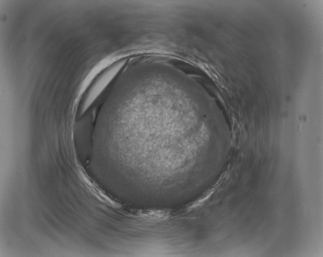 X0000081310056200701251753