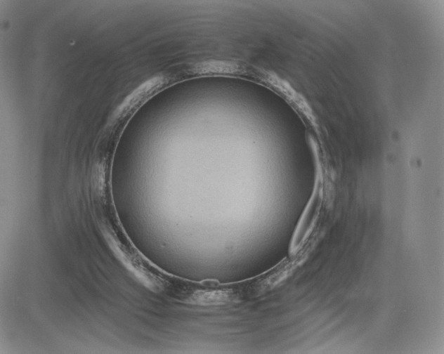 X0000081310057200701251753