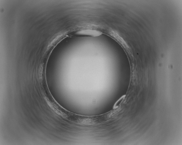 X0000081310058200701251753