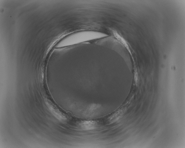 X0000081310059200701251753