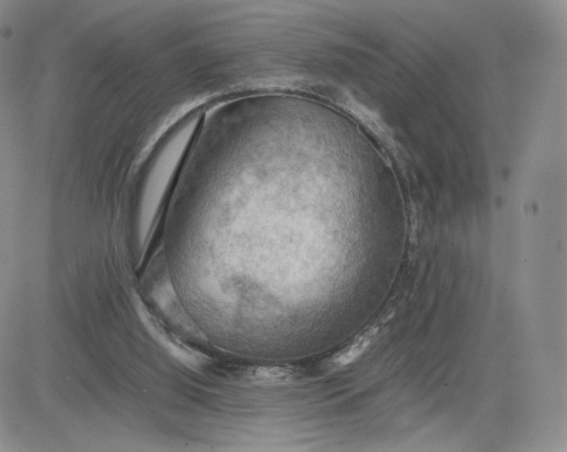 X0000081310060200701251753