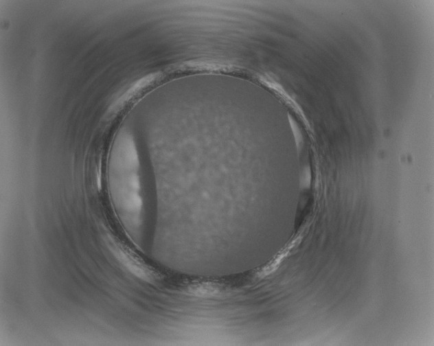 X0000081310062200701251753